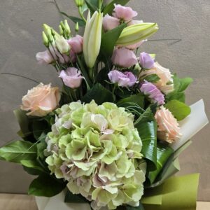 Signora Ortensia